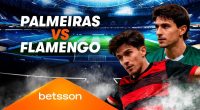 Palmeiras vs Flamengo Pronóstico Final Copa Libertadores 29/11/2025 – Notifrontera