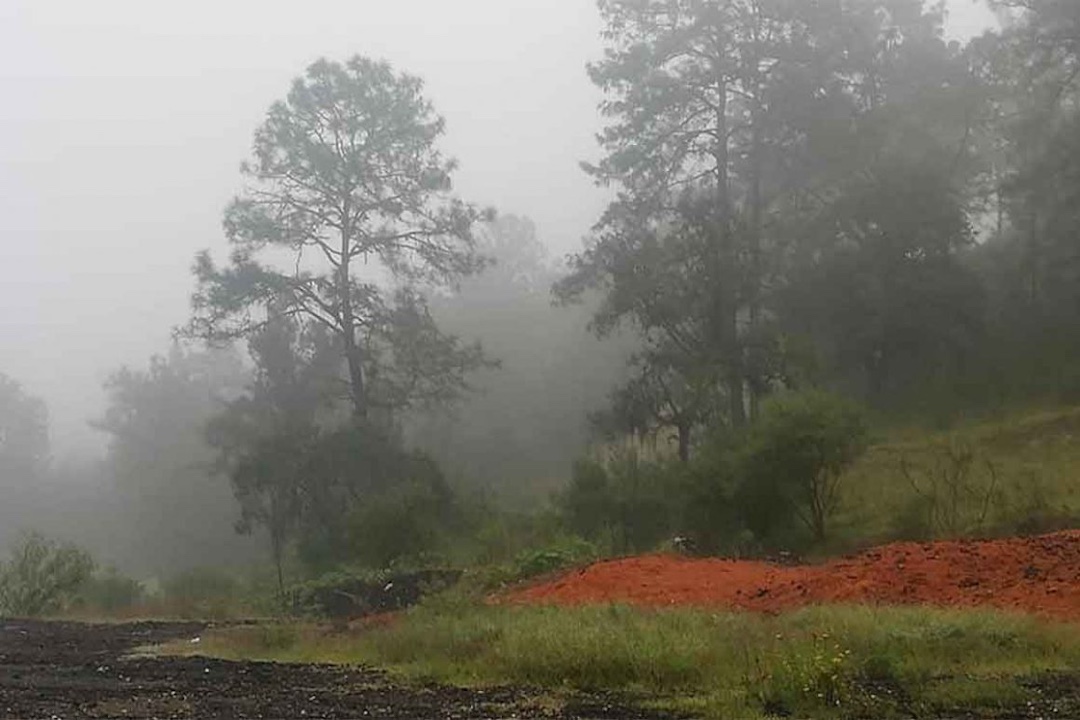 Nicaragua tiene la noche más fría del año: hasta 10 grados en algunas zonas del norte

 – Notifrontera