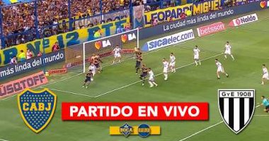 Pelota Libre TV EN VIVO, Boca vs Gimnasia de Mendoza GRATIS HOY TNT Sports, ESPN, Disney Plus ONLINE EN DIRECTO por internet | Argentina | VIDEO | FUTBOL-INTERNACIONAL – Notifrontera