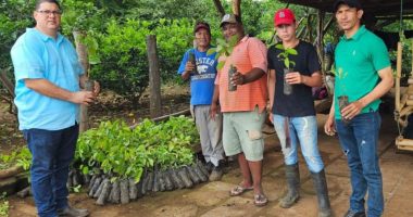 El régimen designa a Jeovani Álvarez Cubillo como viceministro de Agricultura

 – Notifrontera