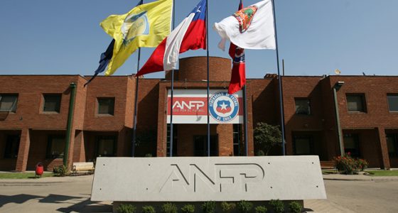 Cámara despacha a ley reforma a SADP tras 10 años de tramitación – Notifrontera